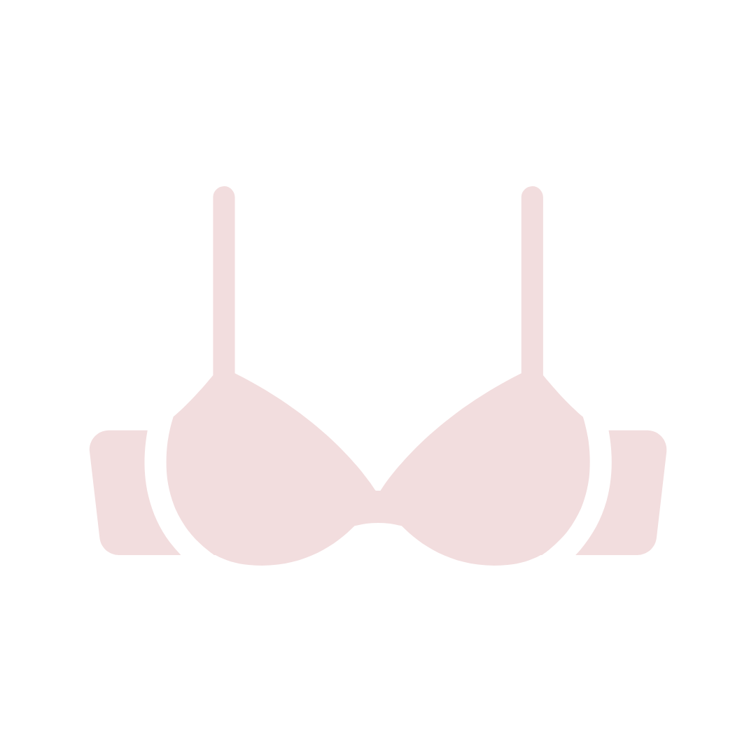 image of a pink bra 